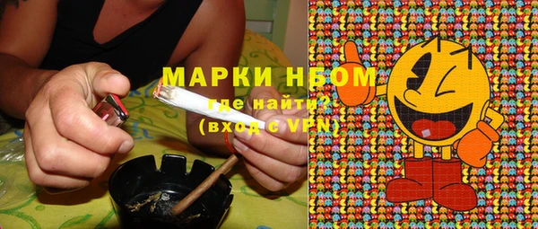 гидра Богородск