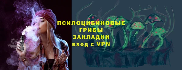 прущая мука Богородицк