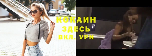 гидра Богородск