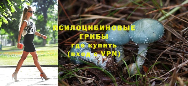 прущая мука Богородицк