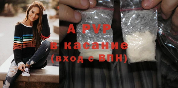гидра Богородск