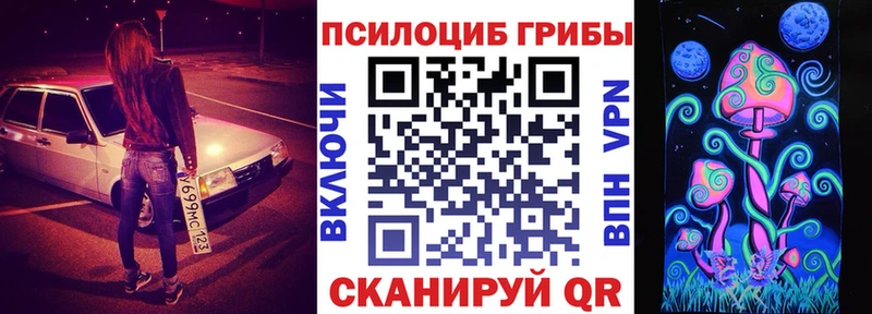 где найти   Долгопрудный  Псилоцибиновые грибы мицелий 